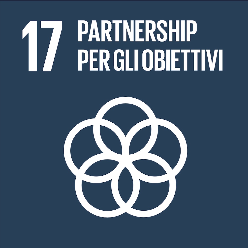SDG 17 - Partnership per gli obiettivi