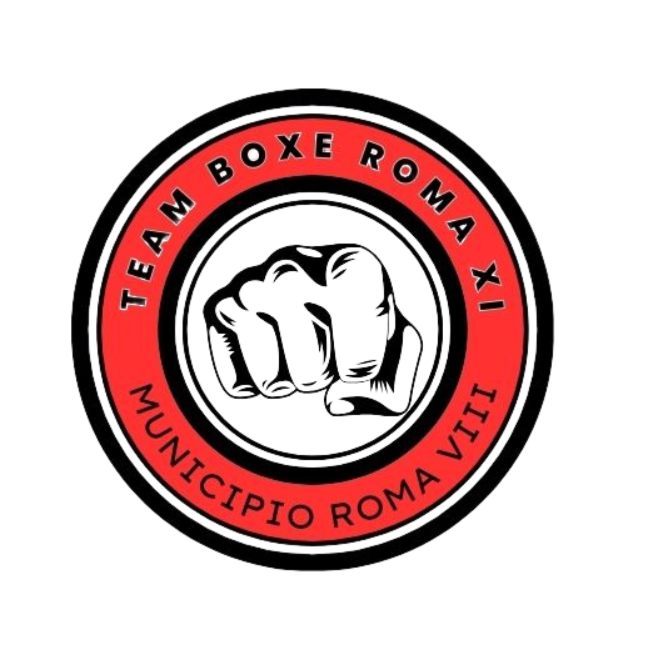 Team Boxe Roma VIII